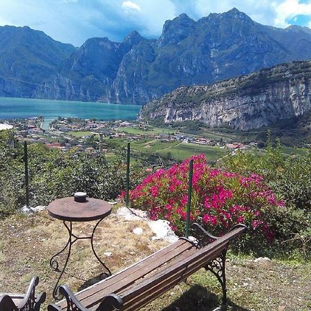 Garden Belvedere B&B Торболе Экстерьер фото
